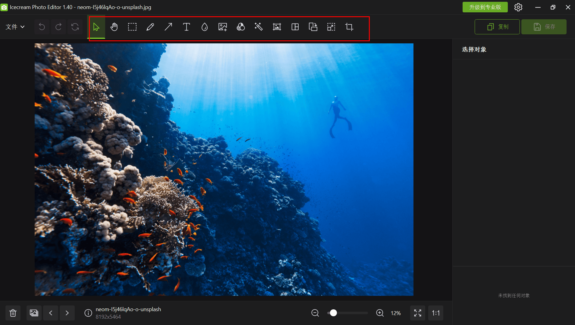 Icecream Photo Editor